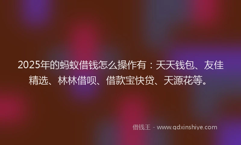 2025年的蚂蚁借钱怎么操作有：天天钱包、友佳精选、林林借呗、借款宝快贷、天源花等。