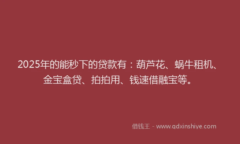 2025年的能秒下的贷款有：葫芦花、蜗牛租机、金宝盒贷、拍拍用、钱速借融宝等。