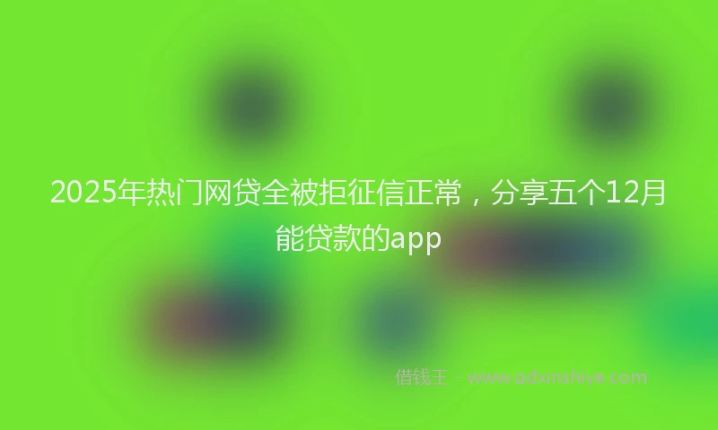 2025年热门网贷全被拒征信正常，分享五个12月能贷款的app