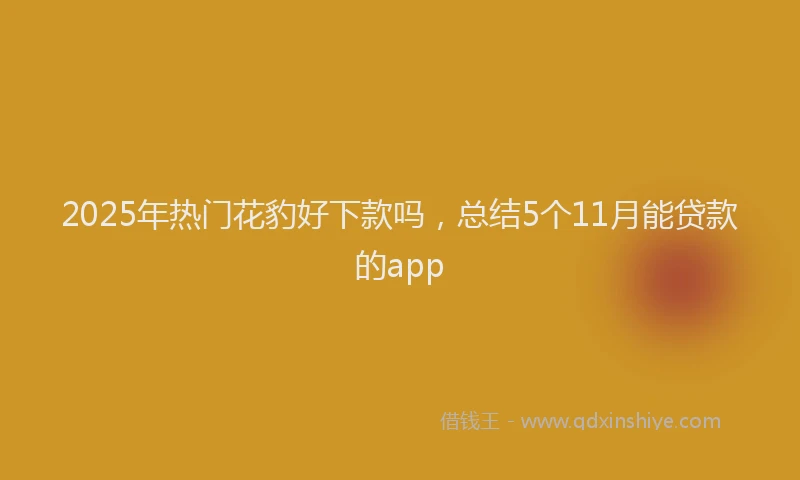 2025年热门花豹好下款吗，总结5个11月能贷款的app