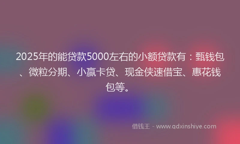 2025年的能贷款5000左右的小额贷款有：甄钱包、微粒分期、小赢卡贷、现金侠速借宝、惠花钱包等。