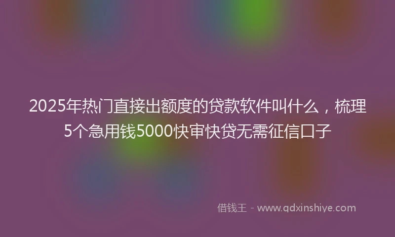 2025年热门直接出额度的贷款软件叫什么，梳理5个急用钱5000快审快贷无需征信口子