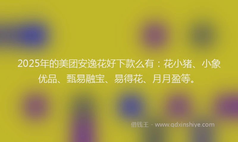 2025年的美团安逸花好下款么有：花小猪、小象优品、甄易融宝、易得花、月月盈等。