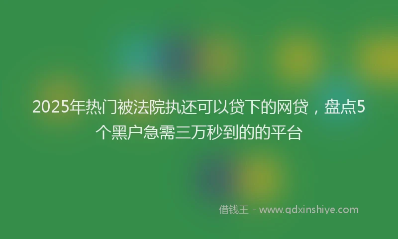 2025年热门被法院执还可以贷下的网贷，盘点5个黑户急需三万秒到的的平台