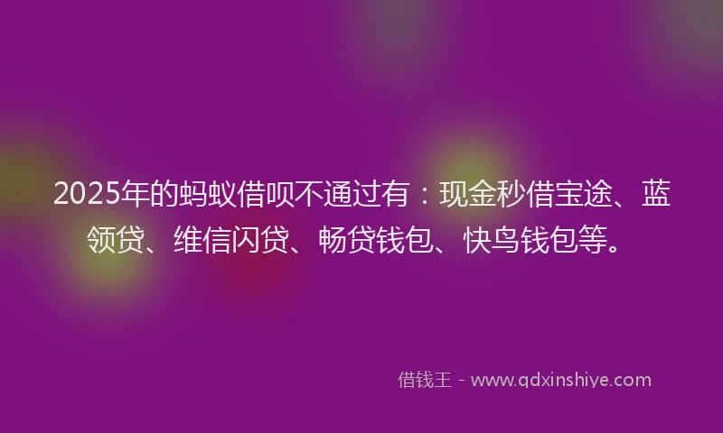 2025年的蚂蚁借呗不通过有：现金秒借宝途、蓝领贷、维信闪贷、畅贷钱包、快鸟钱包等。