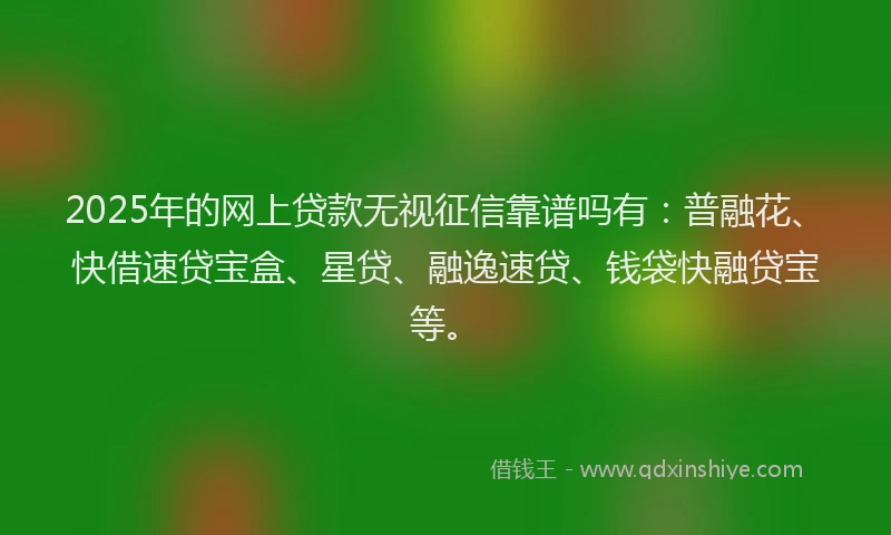 2025年的网上贷款无视征信靠谱吗有：普融花、快借速贷宝盒、星贷、融逸速贷、钱袋快融贷宝等。