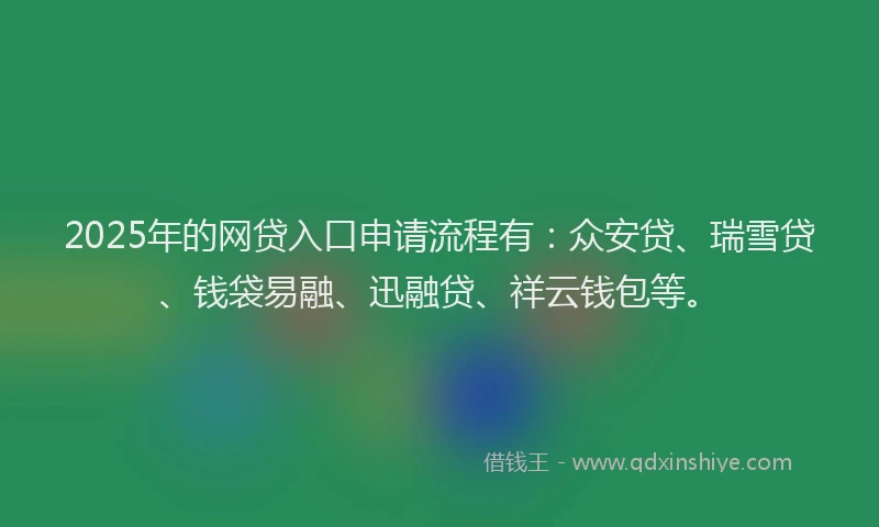 2025年的网贷入口申请流程有：众安贷、瑞雪贷、钱袋易融、迅融贷、祥云钱包等。