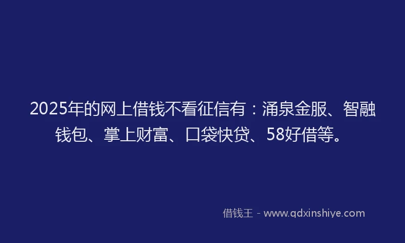 2025年的网上借钱不看征信有：涌泉金服、智融钱包、掌上财富、口袋快贷、58好借等。