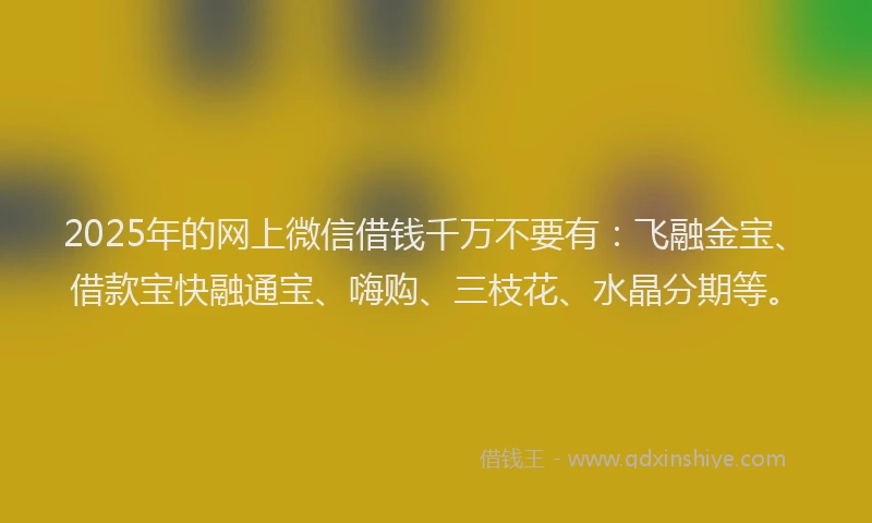 2025年的网上微信借钱千万不要有：飞融金宝、借款宝快融通宝、嗨购、三枝花、水晶分期等。