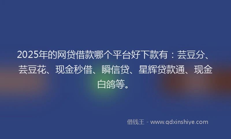 2025年的网贷借款哪个平台好下款有：芸豆分、芸豆花、现金秒借、瞬信贷、星辉贷款通、现金白鸽等。