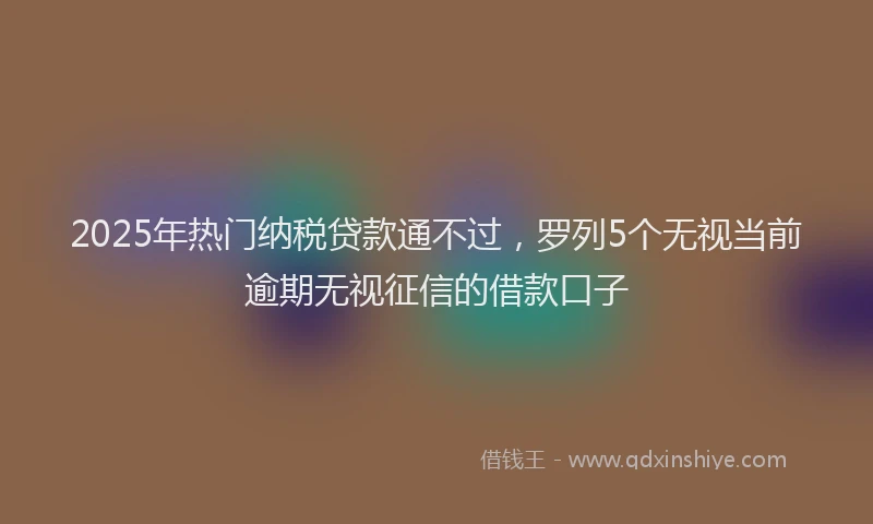 2025年热门纳税贷款通不过，罗列5个无视当前逾期无视征信的借款口子
