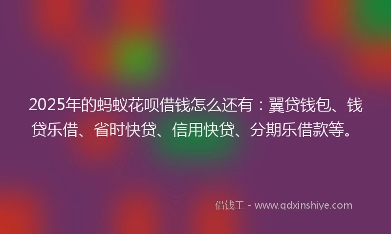 2025年的蚂蚁花呗借钱怎么还有：翼贷钱包、钱贷乐借、省时快贷、信用快贷、分期乐借款等。