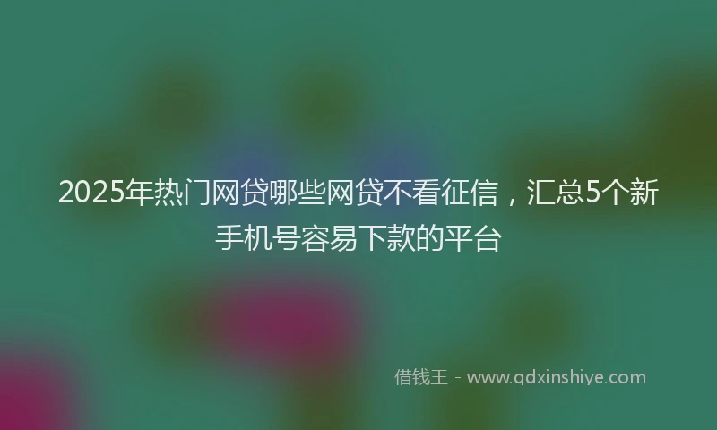 2025年热门网贷哪些网贷不看征信，汇总5个新手机号容易下款的平台