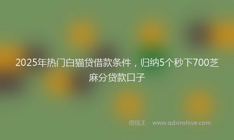 2025年热门白猫贷借款条件，归纳5个秒下700芝麻分贷款口子