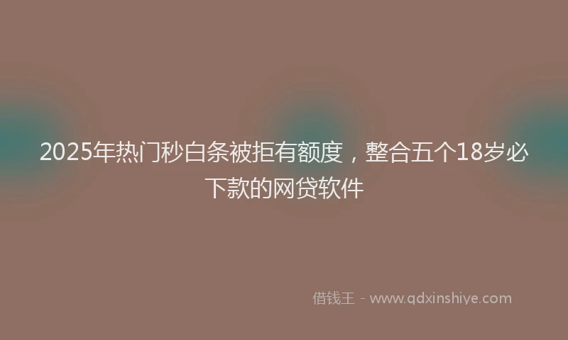 2025年热门秒白条被拒有额度，整合五个18岁必下款的网贷软件