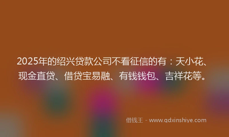 2025年的绍兴贷款公司不看征信的有：天小花、现金直贷、借贷宝易融、有钱钱包、吉祥花等。