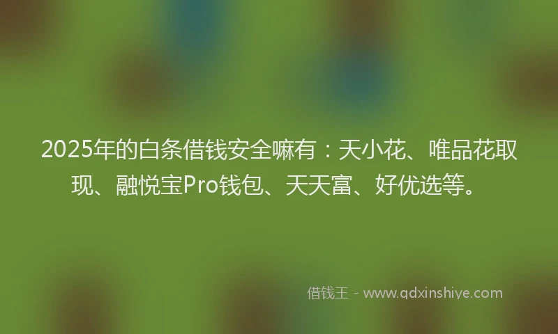 2025年的白条借钱安全嘛有：天小花、唯品花取现、融悦宝Pro钱包、天天富、好优选等。