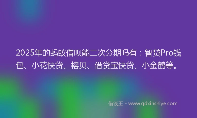 2025年的蚂蚁借呗能二次分期吗有：智贷Pro钱包、小花快贷、榕贝、借贷宝快贷、小金鹤等。