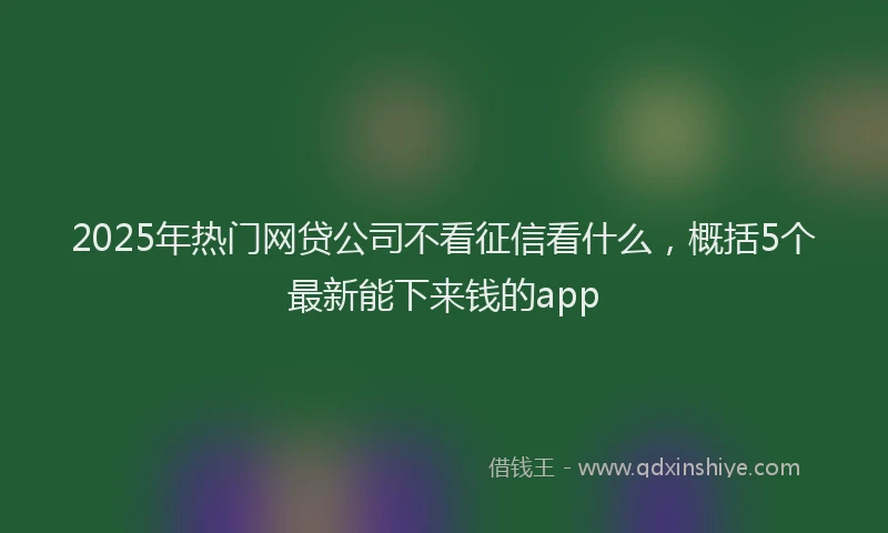 2025年热门网贷公司不看征信看什么，概括5个最新能下来钱的app