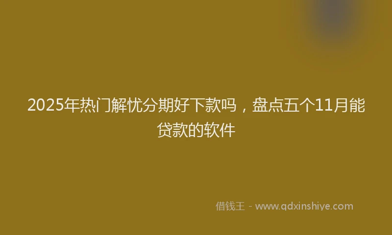 2025年热门解忧分期好下款吗，盘点五个11月能贷款的软件