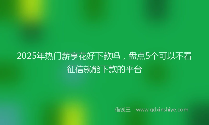 2025年热门薪亨花好下款吗，盘点5个可以不看征信就能下款的平台