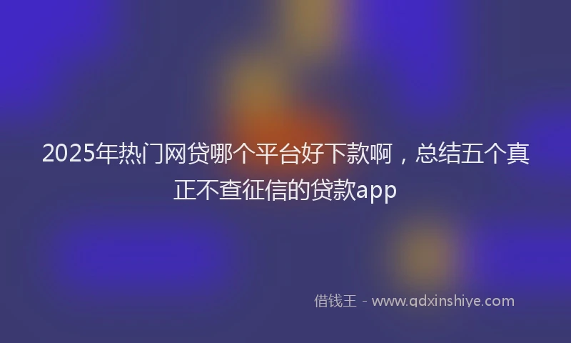 2025年热门网贷哪个平台好下款啊，总结五个真正不查征信的贷款app