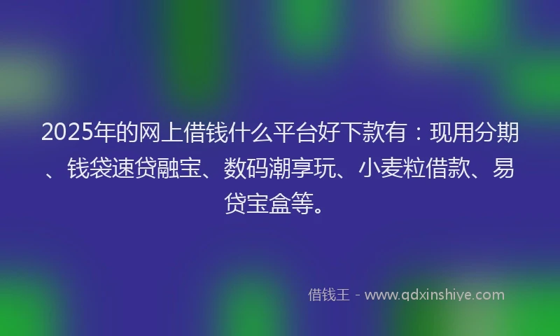 2025年的网上借钱什么平台好下款有：现用分期、钱袋速贷融宝、数码潮享玩、小麦粒借款、易贷宝盒等。