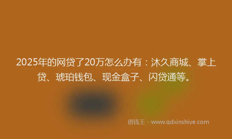 2025年的网贷了20万怎么办有：沐久商城、掌上贷、琥珀钱包、现金盒子、闪贷通等。