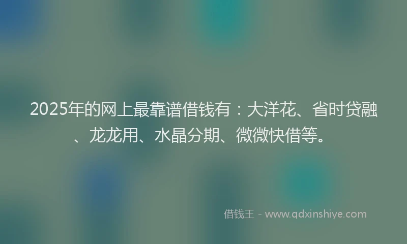 2025年的网上最靠谱借钱有：大洋花、省时贷融、龙龙用、水晶分期、微微快借等。