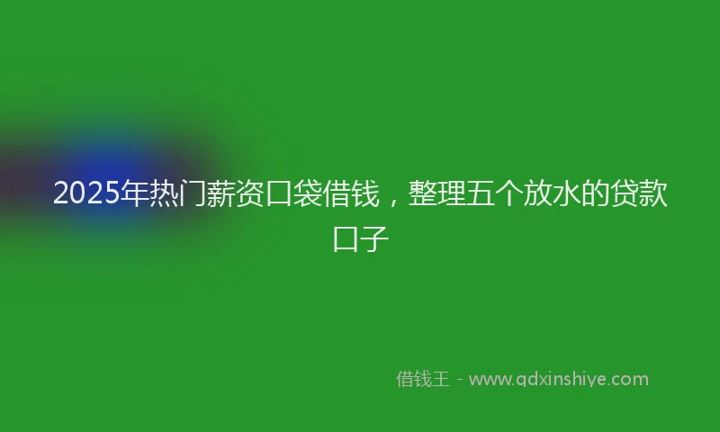 2025年热门薪资口袋借钱，整理五个放水的贷款口子