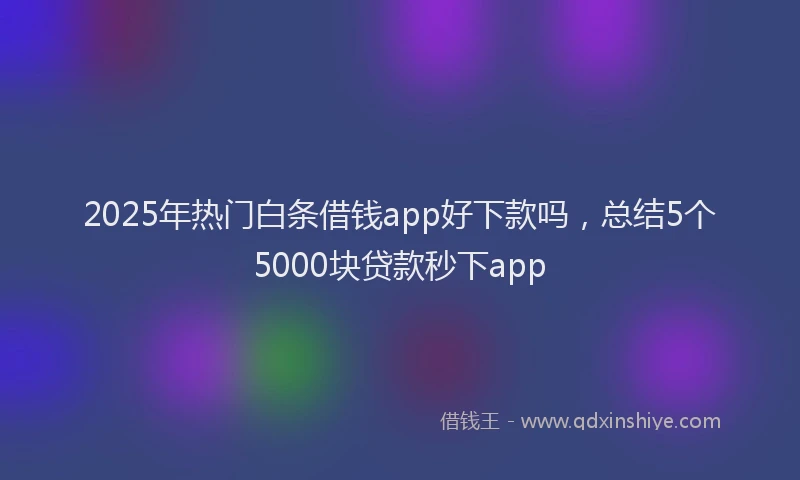 2025年热门白条借钱app好下款吗，总结5个5000块贷款秒下app