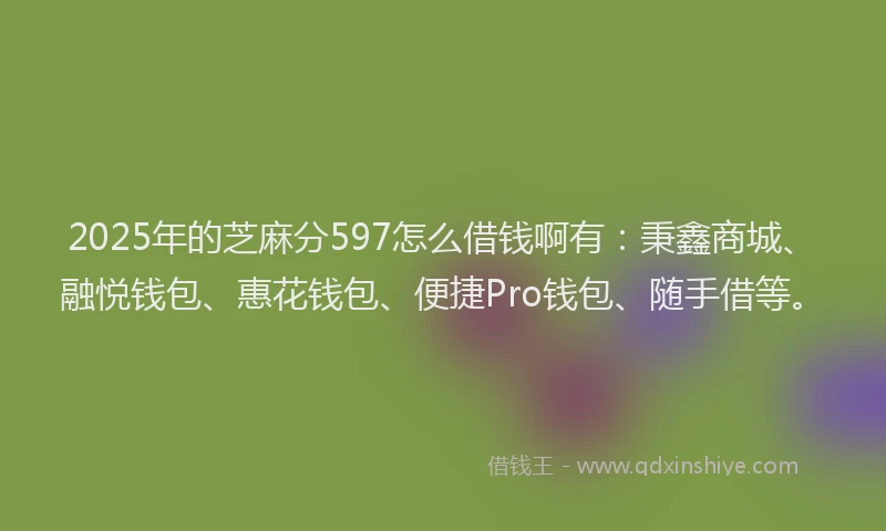 2025年的芝麻分597怎么借钱啊有：秉鑫商城、融悦钱包、惠花钱包、便捷Pro钱包、随手借等。