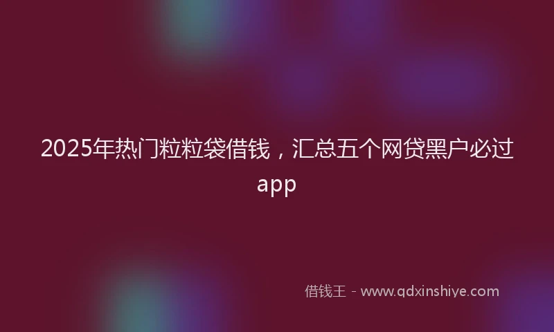 2025年热门粒粒袋借钱，汇总五个网贷黑户必过app