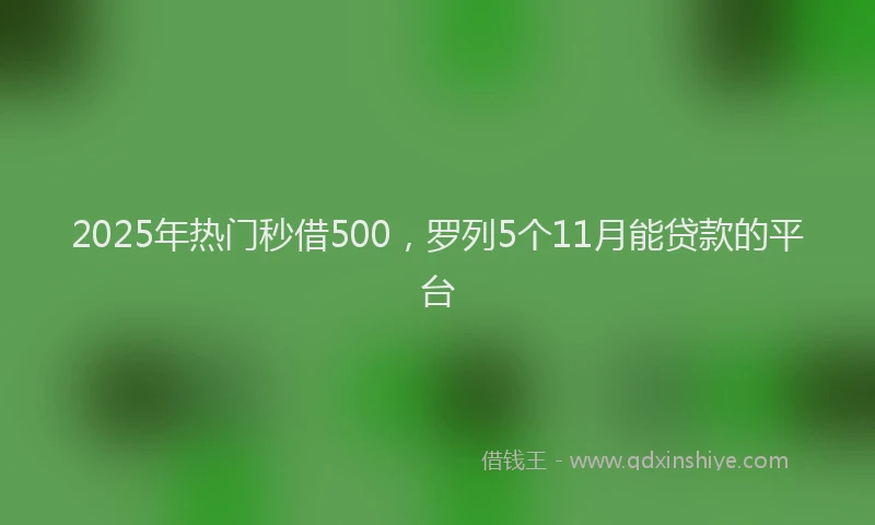 2025年热门秒借500，罗列5个11月能贷款的平台
