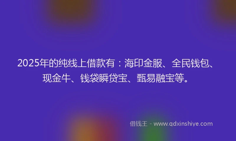 2025年的纯线上借款有：海印金服、全民钱包、现金牛、钱袋瞬贷宝、甄易融宝等。