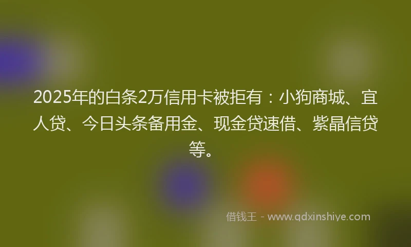 2025年的白条2万信用卡被拒有：小狗商城、宜人贷、今日头条备用金、现金贷速借、紫晶信贷等。