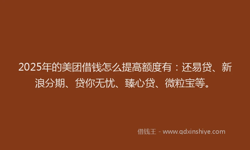 2025年的美团借钱怎么提高额度有：还易贷、新浪分期、贷你无忧、臻心贷、微粒宝等。