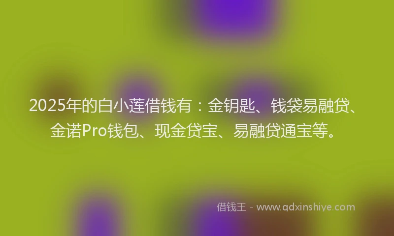 2025年的白小莲借钱有：金钥匙、钱袋易融贷、金诺Pro钱包、现金贷宝、易融贷通宝等。