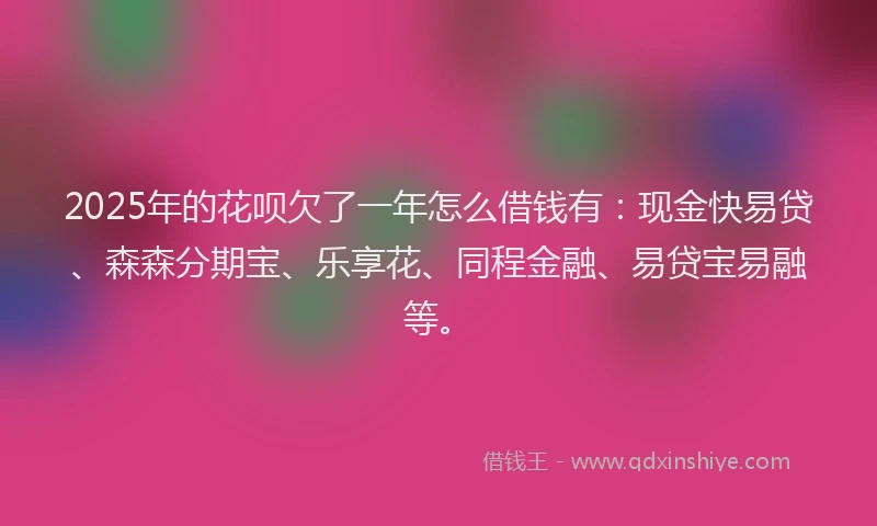 2025年的花呗欠了一年怎么借钱有：现金快易贷、森森分期宝、乐享花、同程金融、易贷宝易融等。