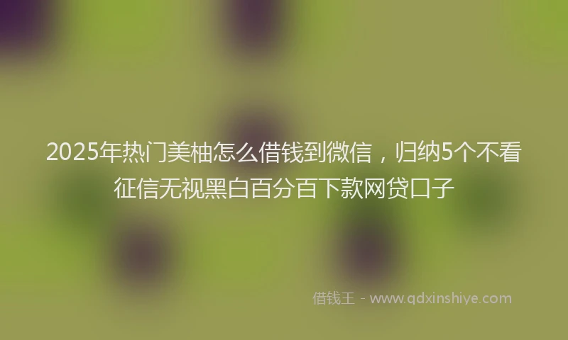 2025年热门美柚怎么借钱到微信，归纳5个不看征信无视黑白百分百下款网贷口子