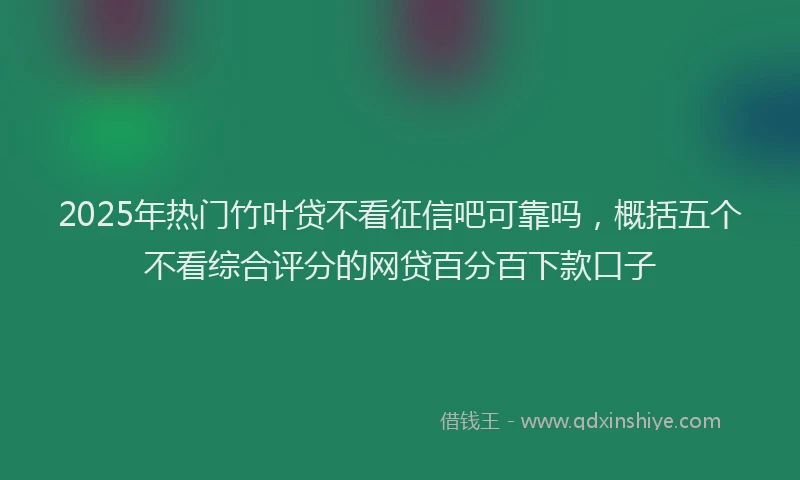 2025年热门竹叶贷不看征信吧可靠吗，概括五个不看综合评分的网贷百分百下款口子