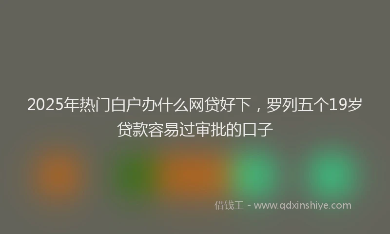 2025年热门白户办什么网贷好下，罗列五个19岁贷款容易过审批的口子