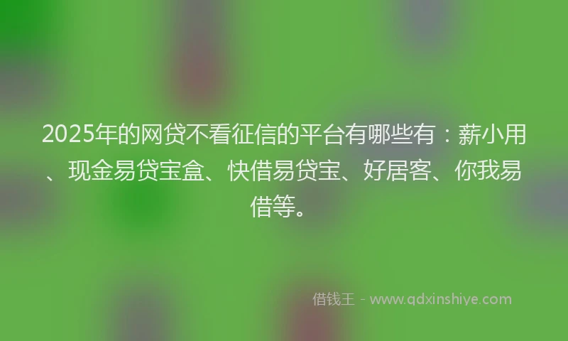 2025年的网贷不看征信的平台有哪些有：薪小用、现金易贷宝盒、快借易贷宝、好居客、你我易借等。