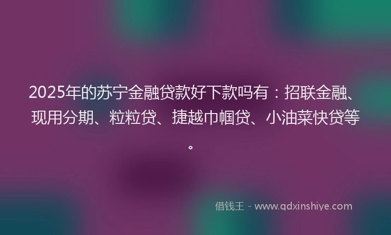 2025年的苏宁金融贷款好下款吗有：招联金融、现用分期、粒粒贷、捷越巾帼贷、小油菜快贷等。