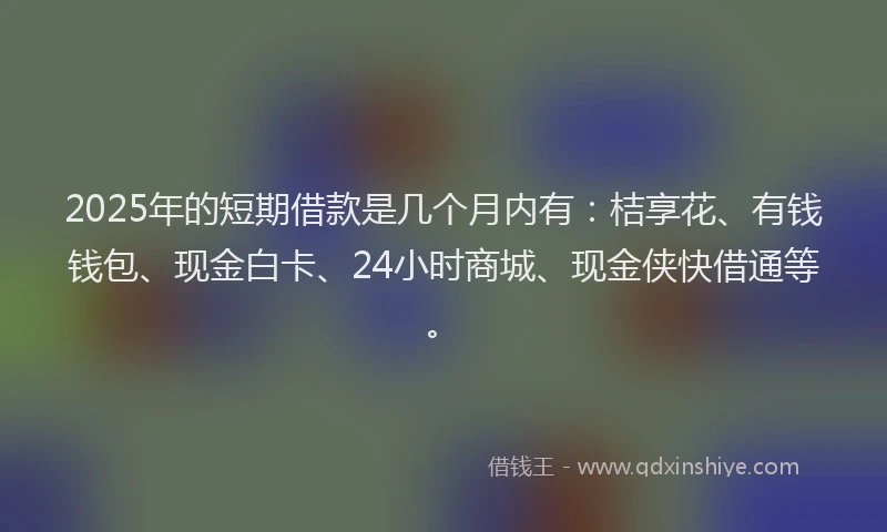 2025年的短期借款是几个月内有：桔享花、有钱钱包、现金白卡、24小时商城、现金侠快借通等。