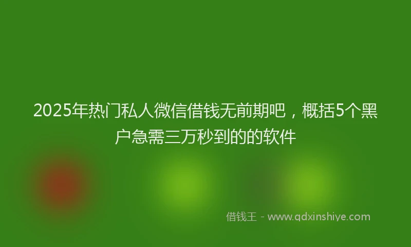 2025年热门私人微信借钱无前期吧，概括5个黑户急需三万秒到的的软件