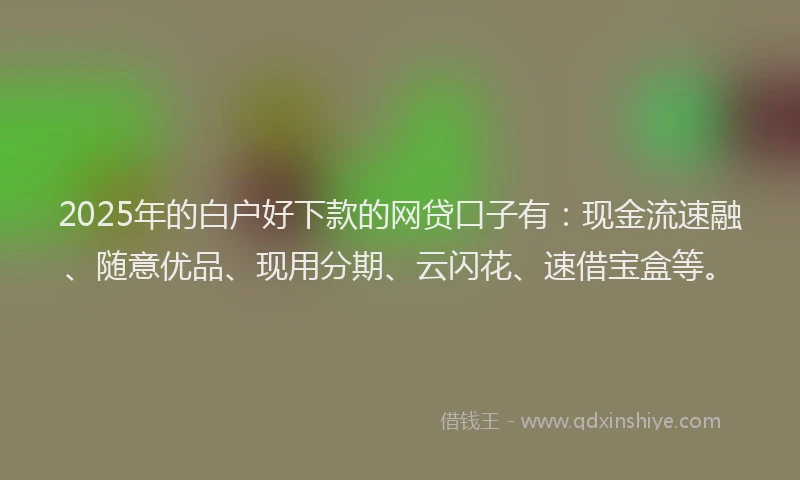2025年的白户好下款的网贷口子有：现金流速融、随意优品、现用分期、云闪花、速借宝盒等。