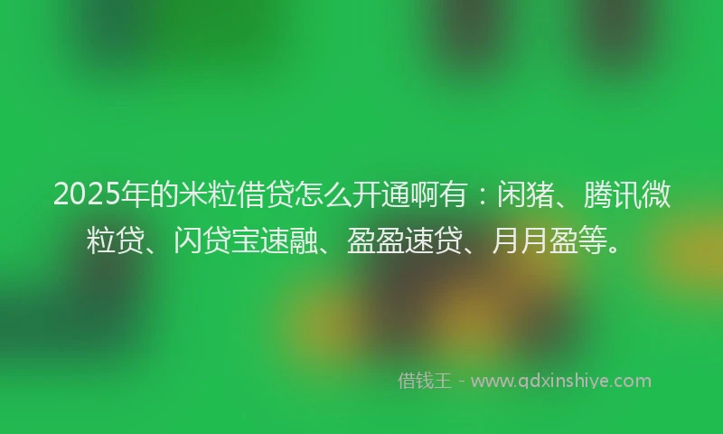 2025年的米粒借贷怎么开通啊有：闲猪、腾讯微粒贷、闪贷宝速融、盈盈速贷、月月盈等。