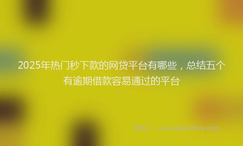 2025年热门秒下款的网贷平台有哪些，总结五个有逾期借款容易通过的平台