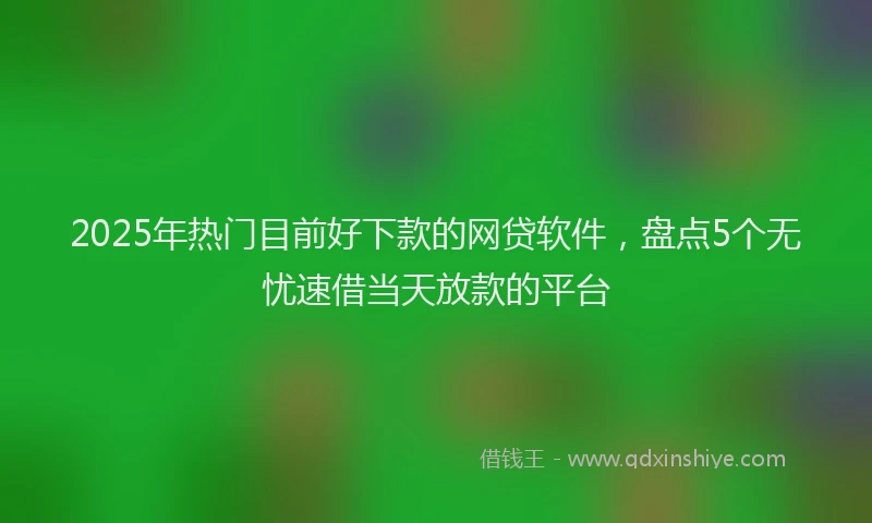 2025年热门目前好下款的网贷软件，盘点5个无忧速借当天放款的平台
